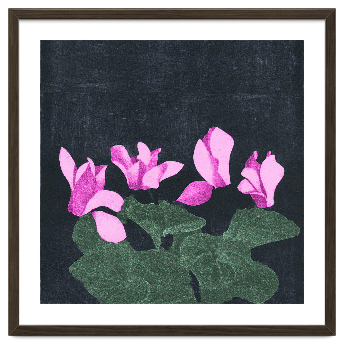 Cyclamen