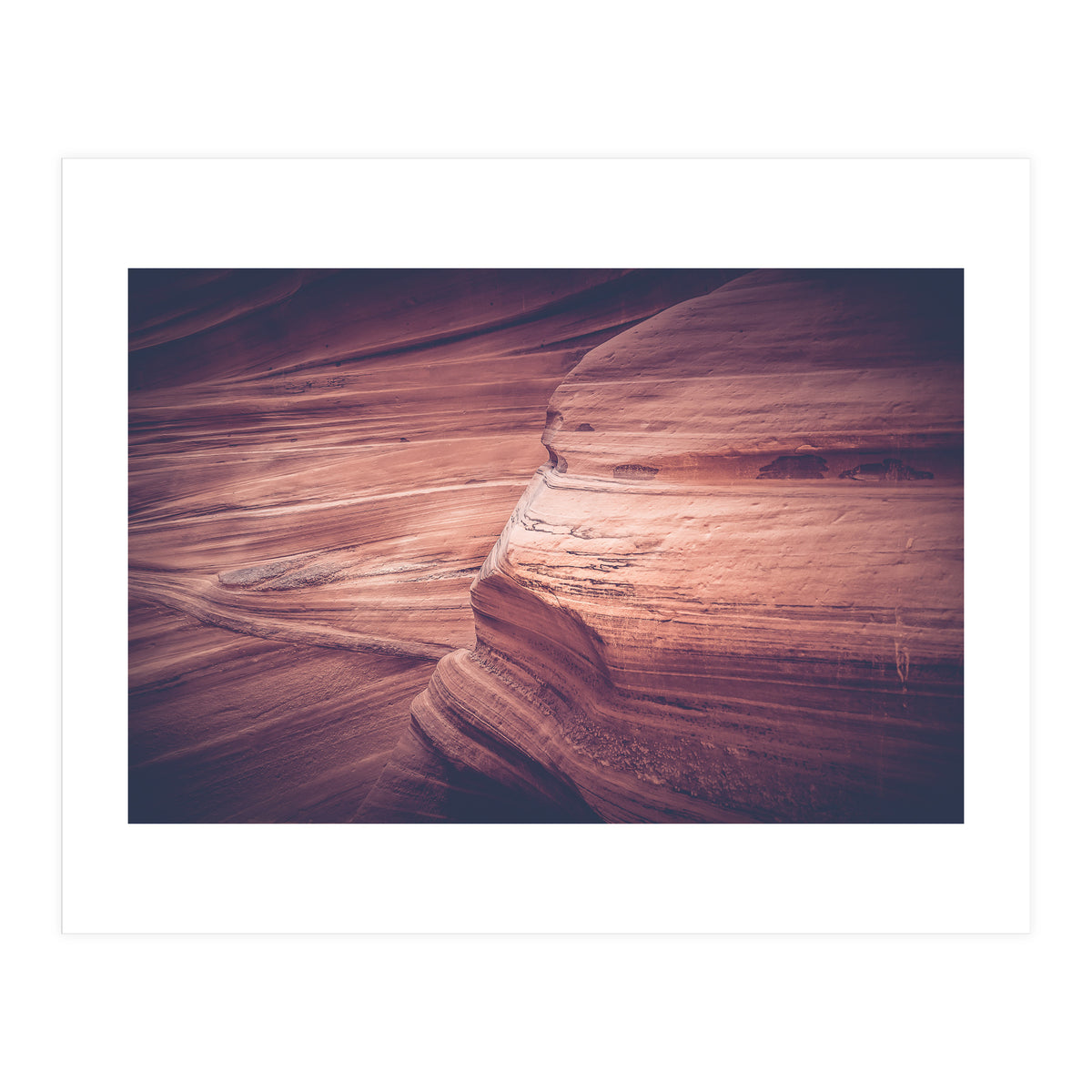 Bronze (Print Only)