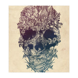 Skull Floral  (Print Only) thumbnail