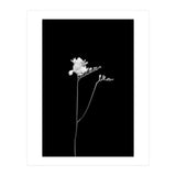 Freesia | dark design  (Print Only) thumbnail