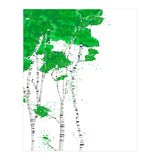 Birch forest (Print Only) thumbnail