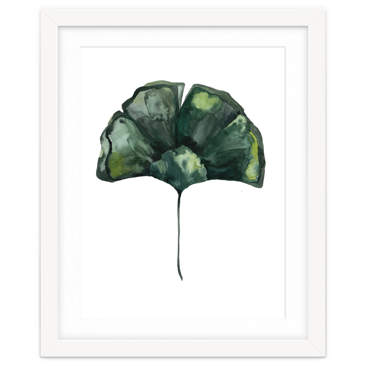 Botanical Illustration Ginko