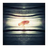 Glow (Print Only) thumbnail