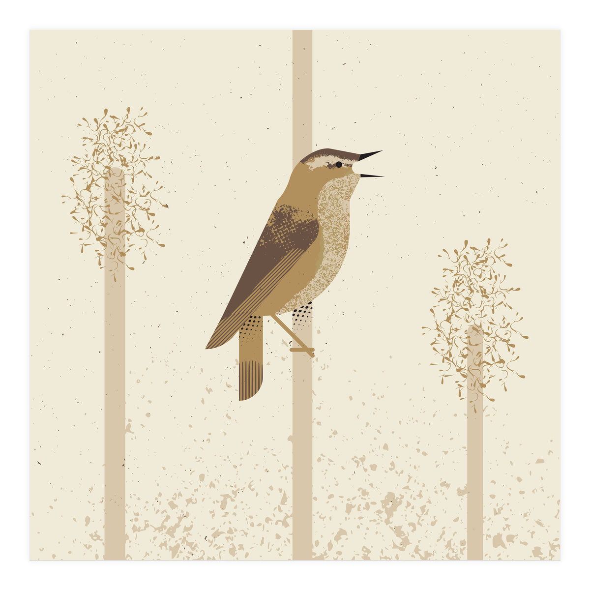 Sedge Warbler (Print Only)
