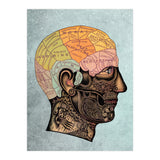 Brain Anatomy (Print Only) thumbnail