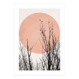 Sunset Dreams Rose (Print Only) thumbnail