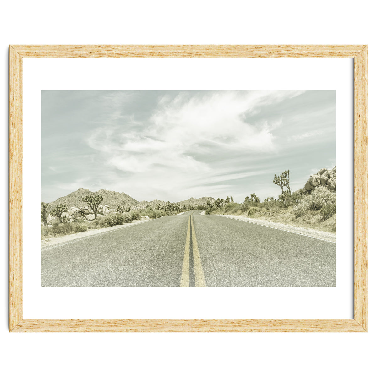 Joshua Trees, Park Boulevard | Vintage
