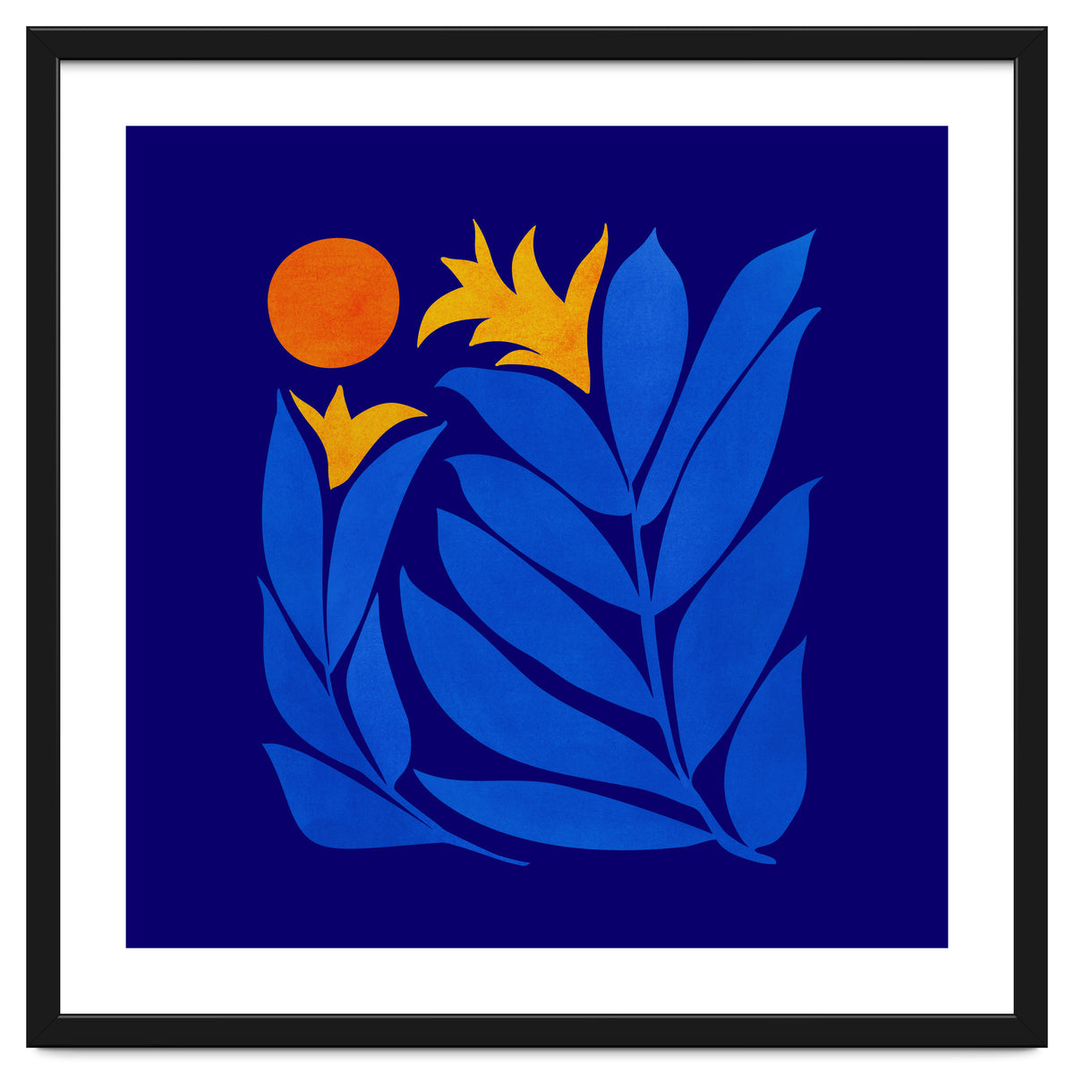 Community Garden At Night