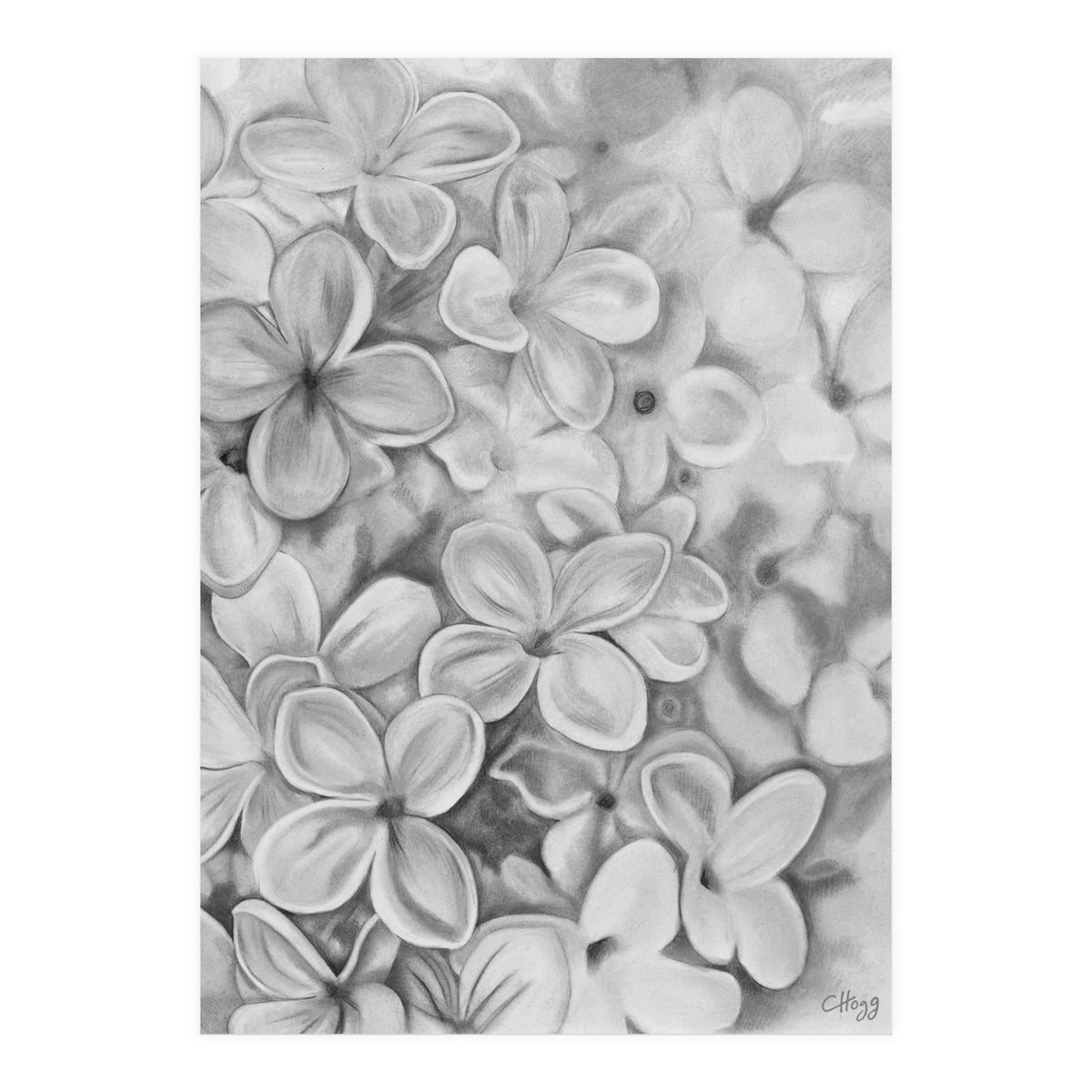 The Essence Of Spring in Monochrome (Print Only)