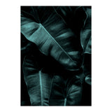 Dark Leafs (Print Only) thumbnail