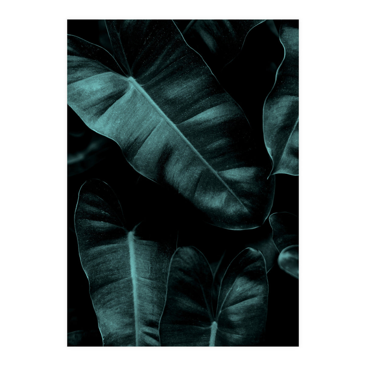 Dark Leafs (Print Only)