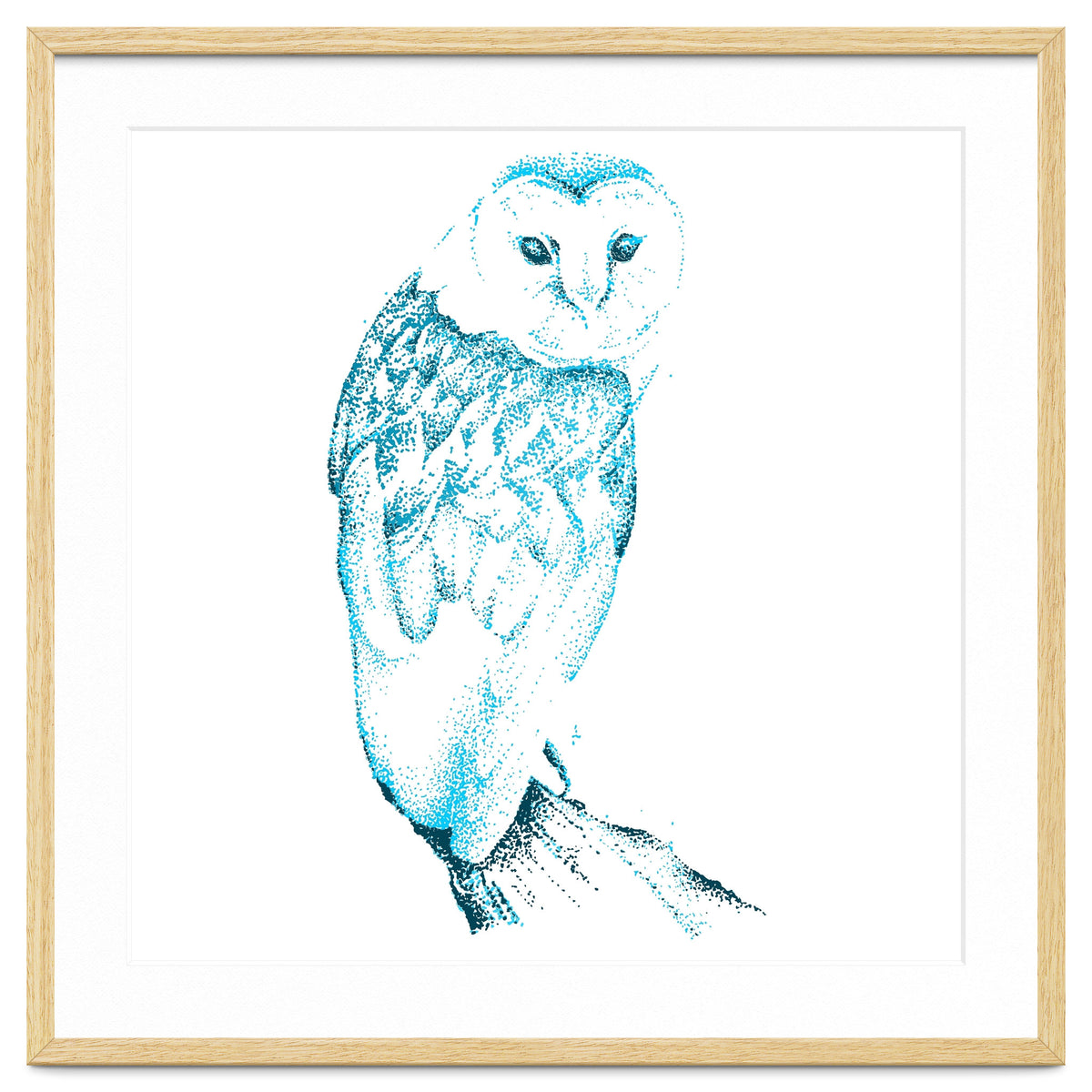 Barn Owl in Teal