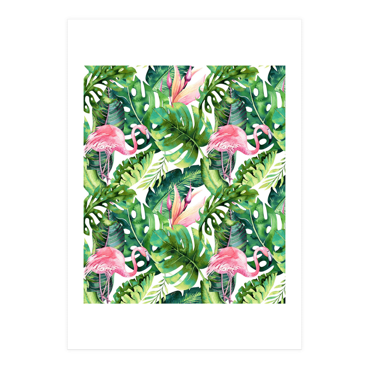 Flamingo Tropical II (Print Only)