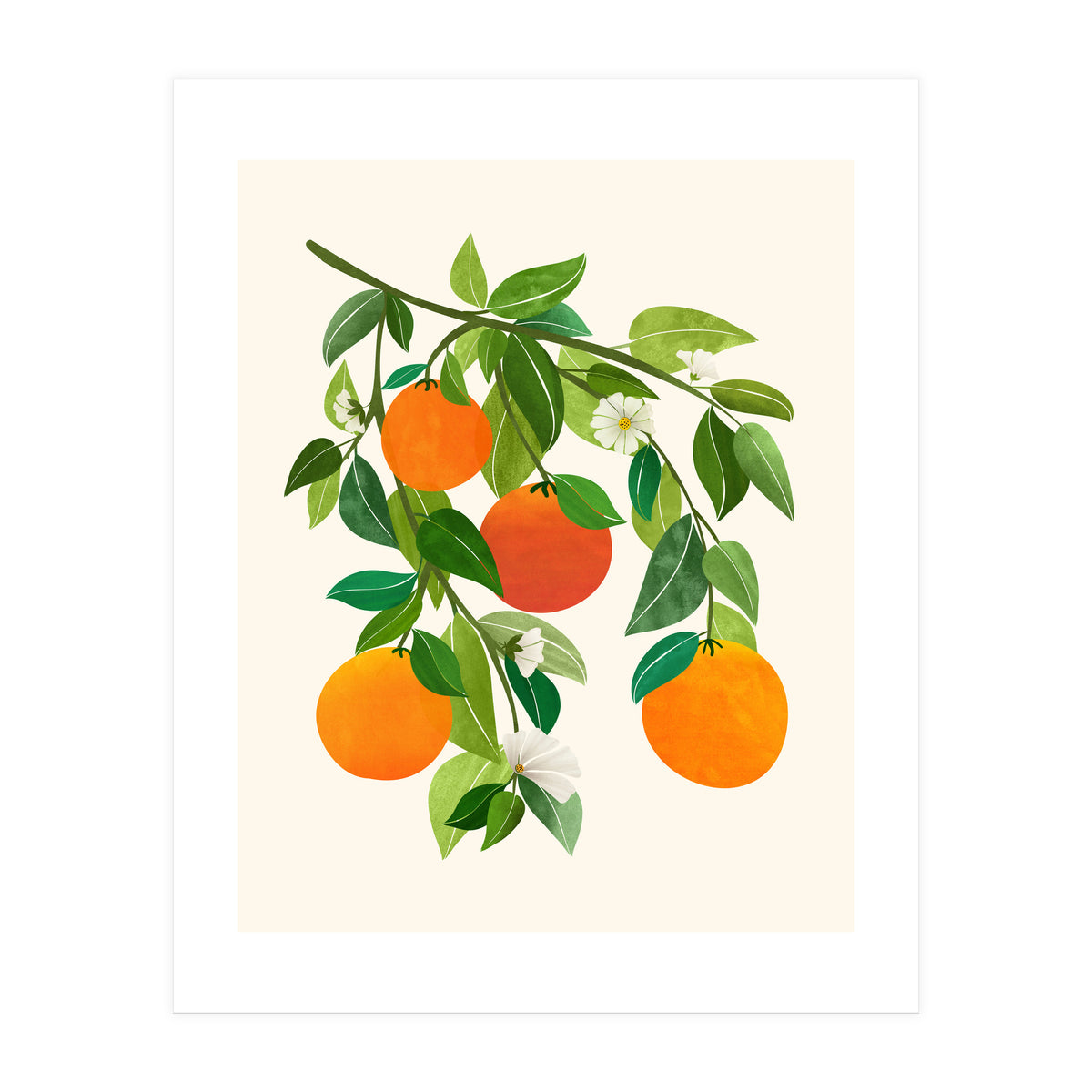 Oranges and Blossoms II (Print Only)