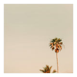 Minimal Palms  (Print Only) thumbnail