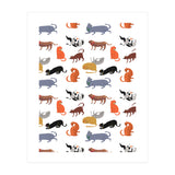 Cat Pattern (Print Only) thumbnail