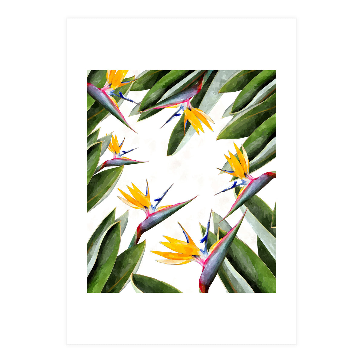 Bird Of Paradise (Print Only)