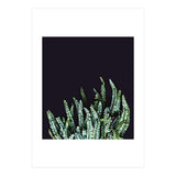 Dark Nature (Print Only) thumbnail