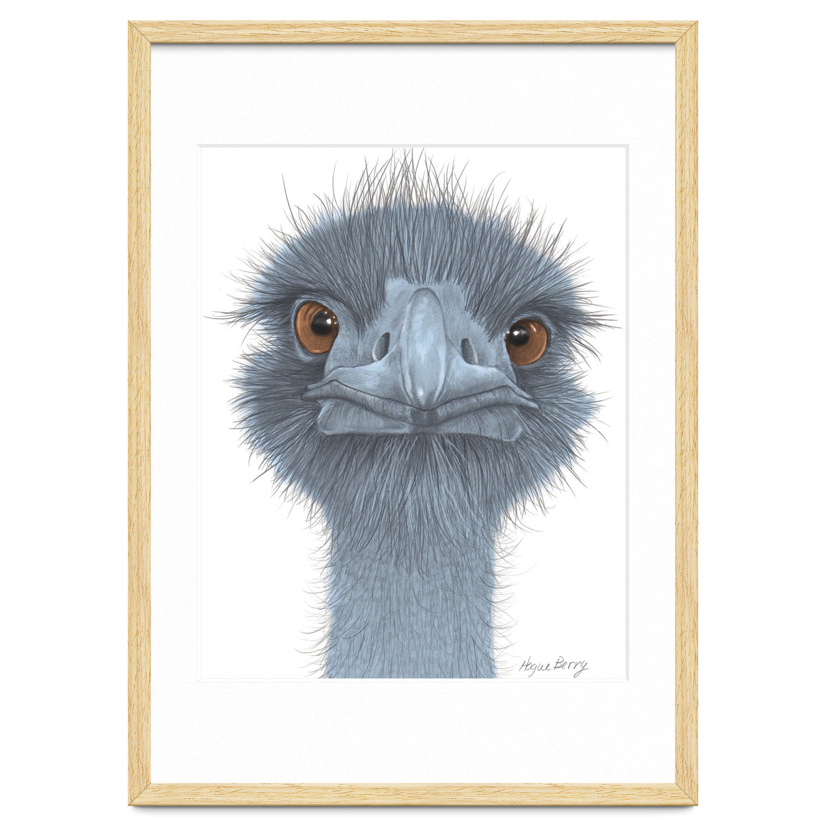 The Blue Emu