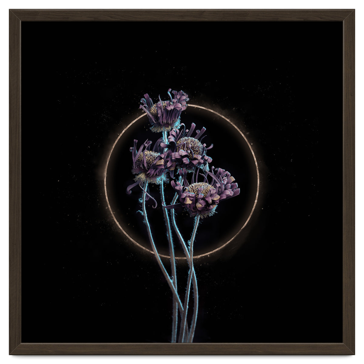 Candy-Coloured Mystery