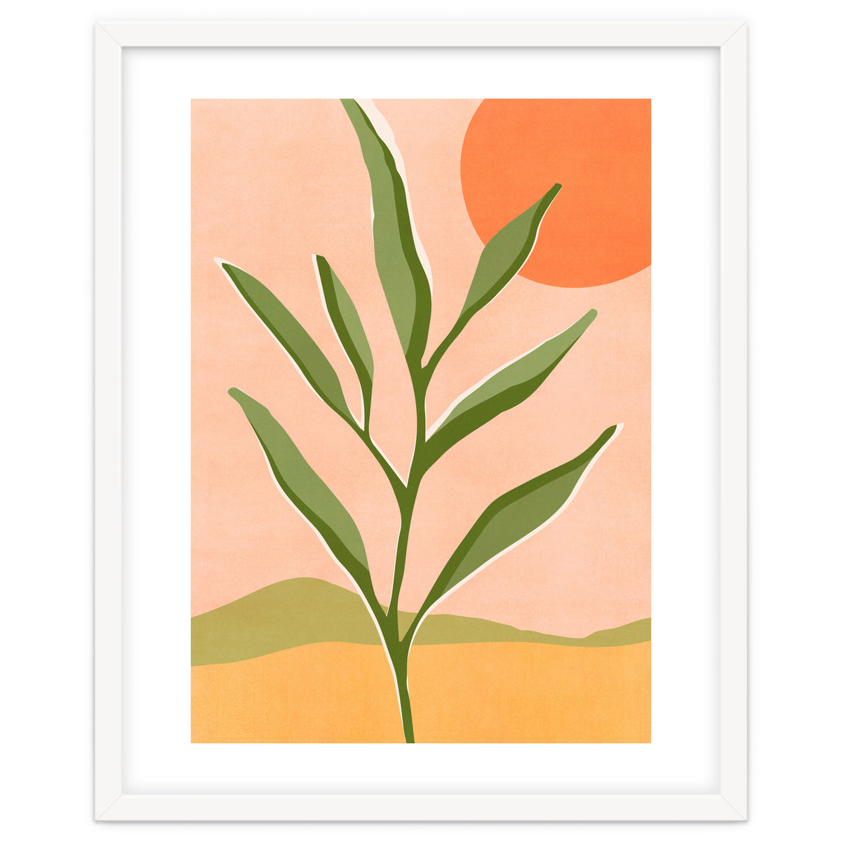 The Sun and The Succulent