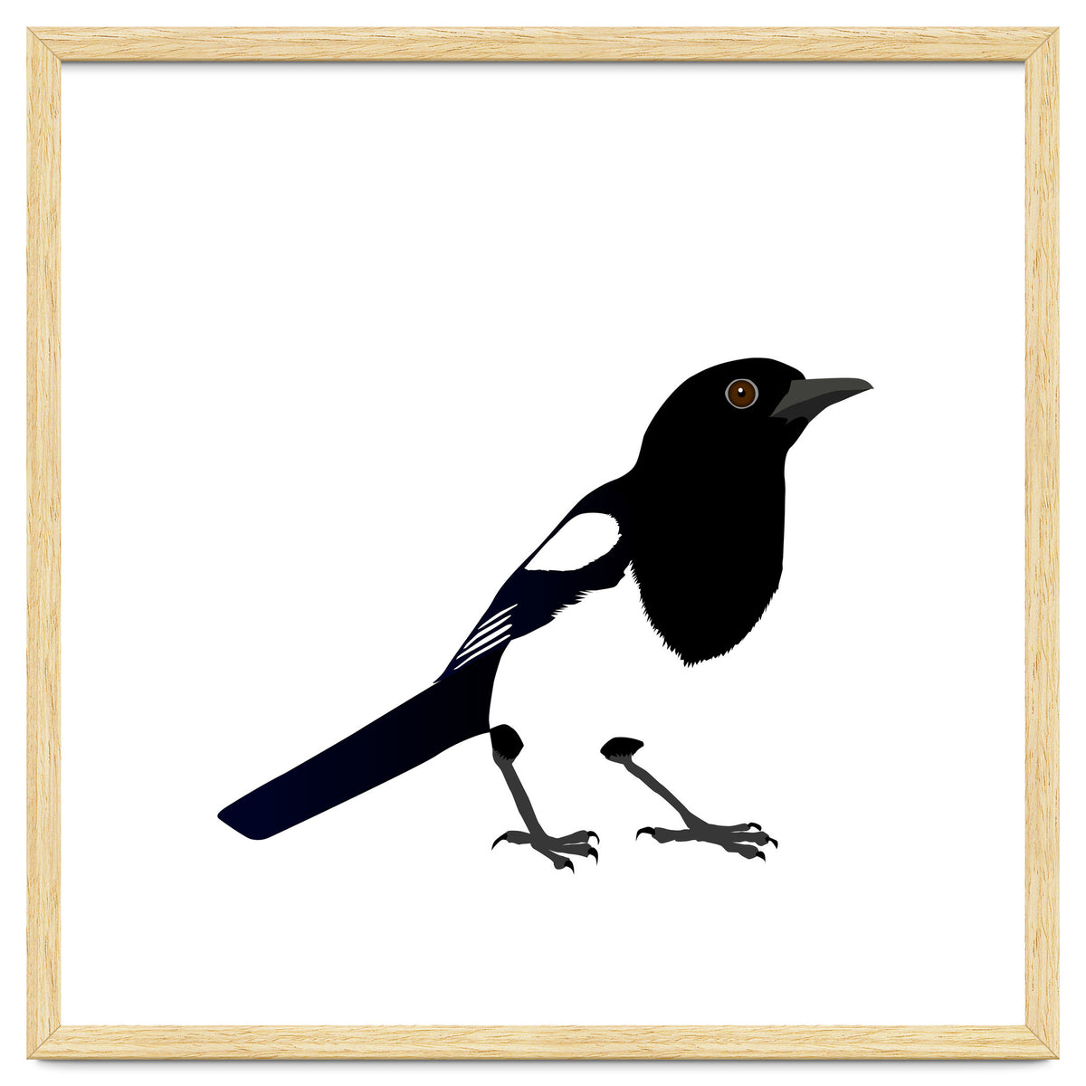 Magpie