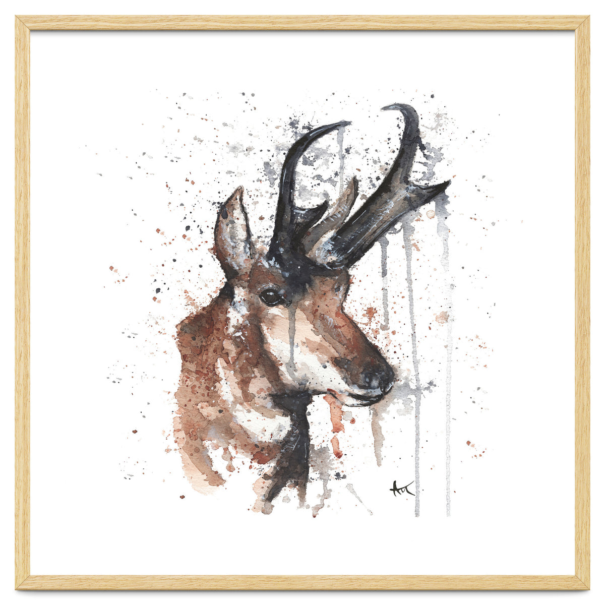 Red deer - Wildlife Collection