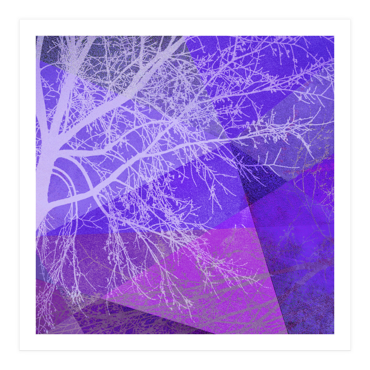 P19-D2 Trees and Triangles (Print Only)