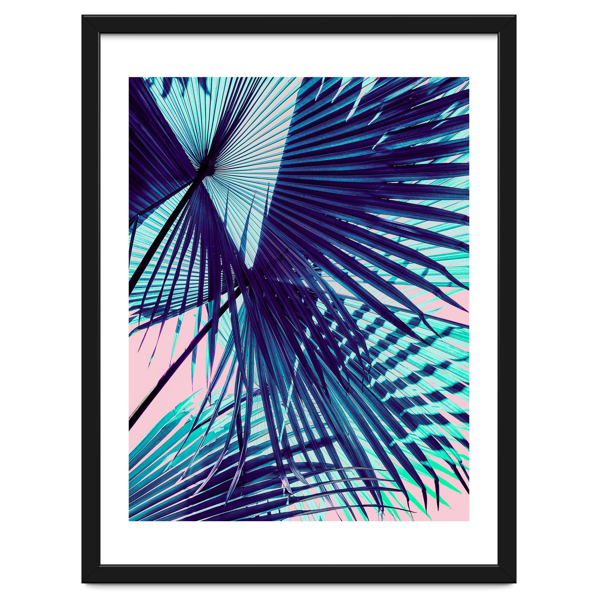 Palm leaf on the beach