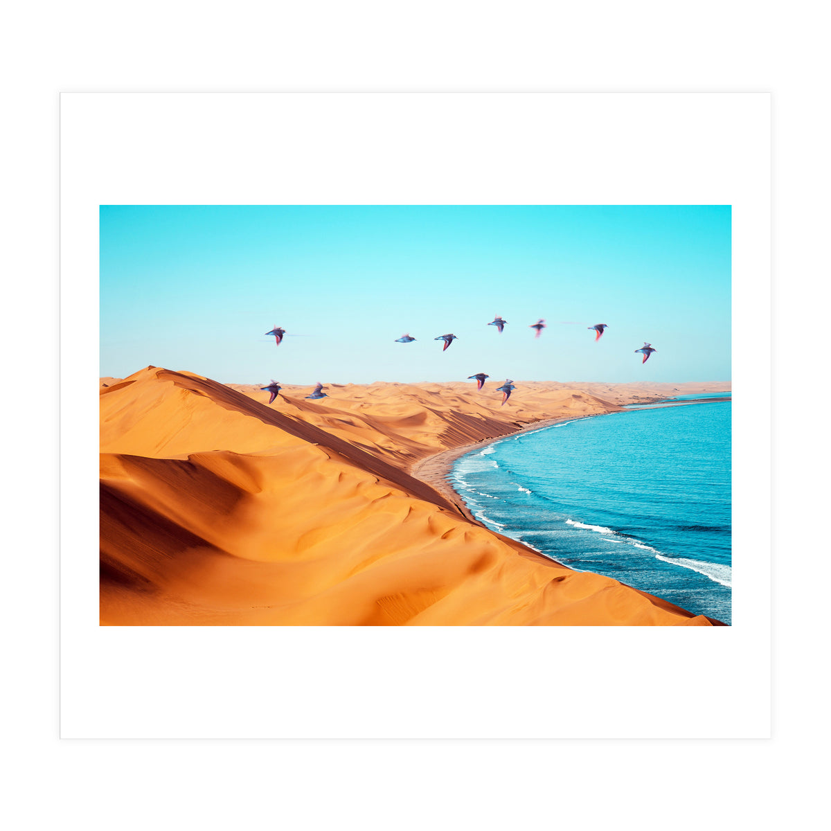 Desert Birds (Print Only)