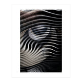 Dark Eyes  (Print Only) thumbnail