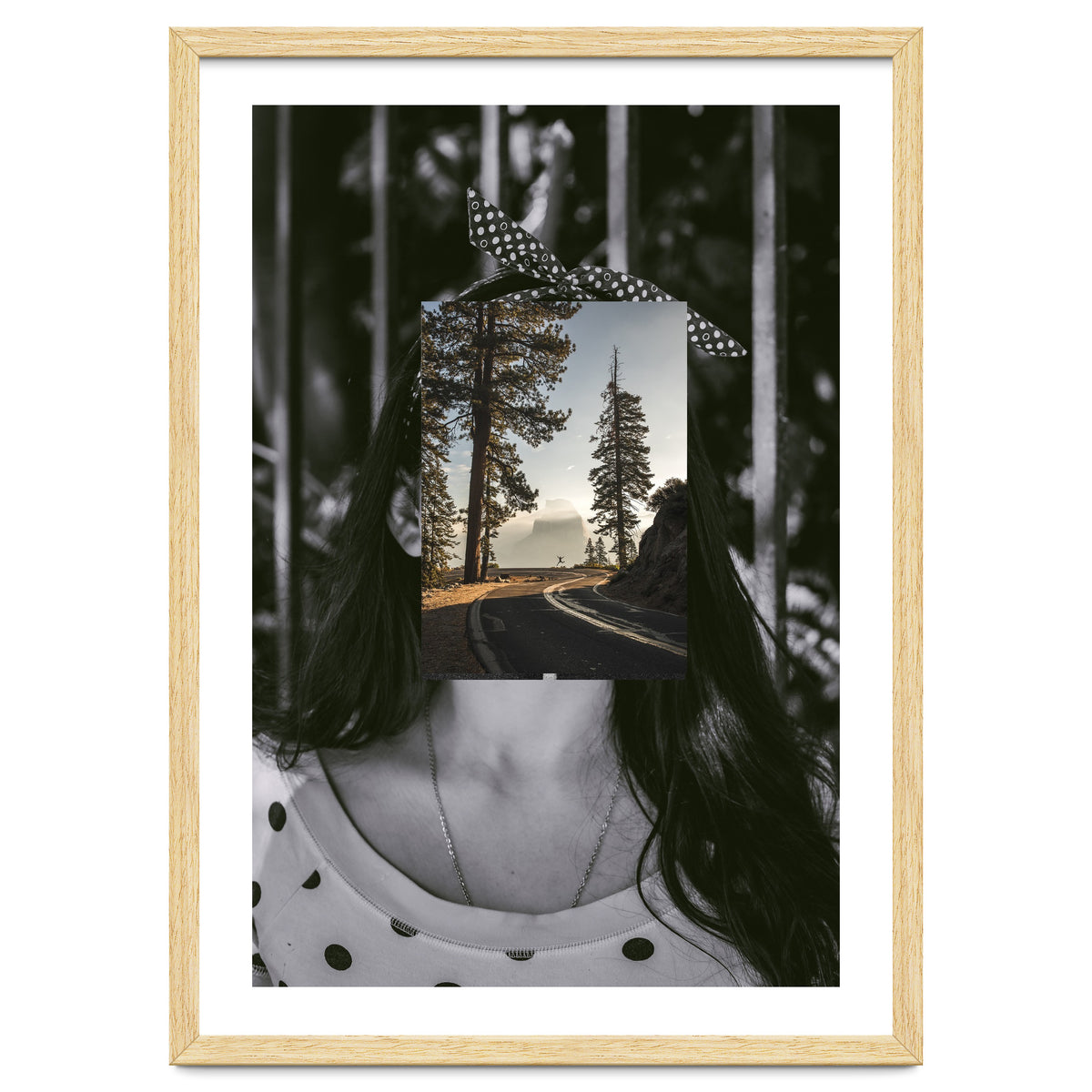 Silva Where Are You?