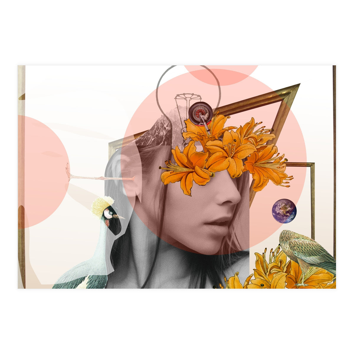 Dreamland Division · D (Print Only)