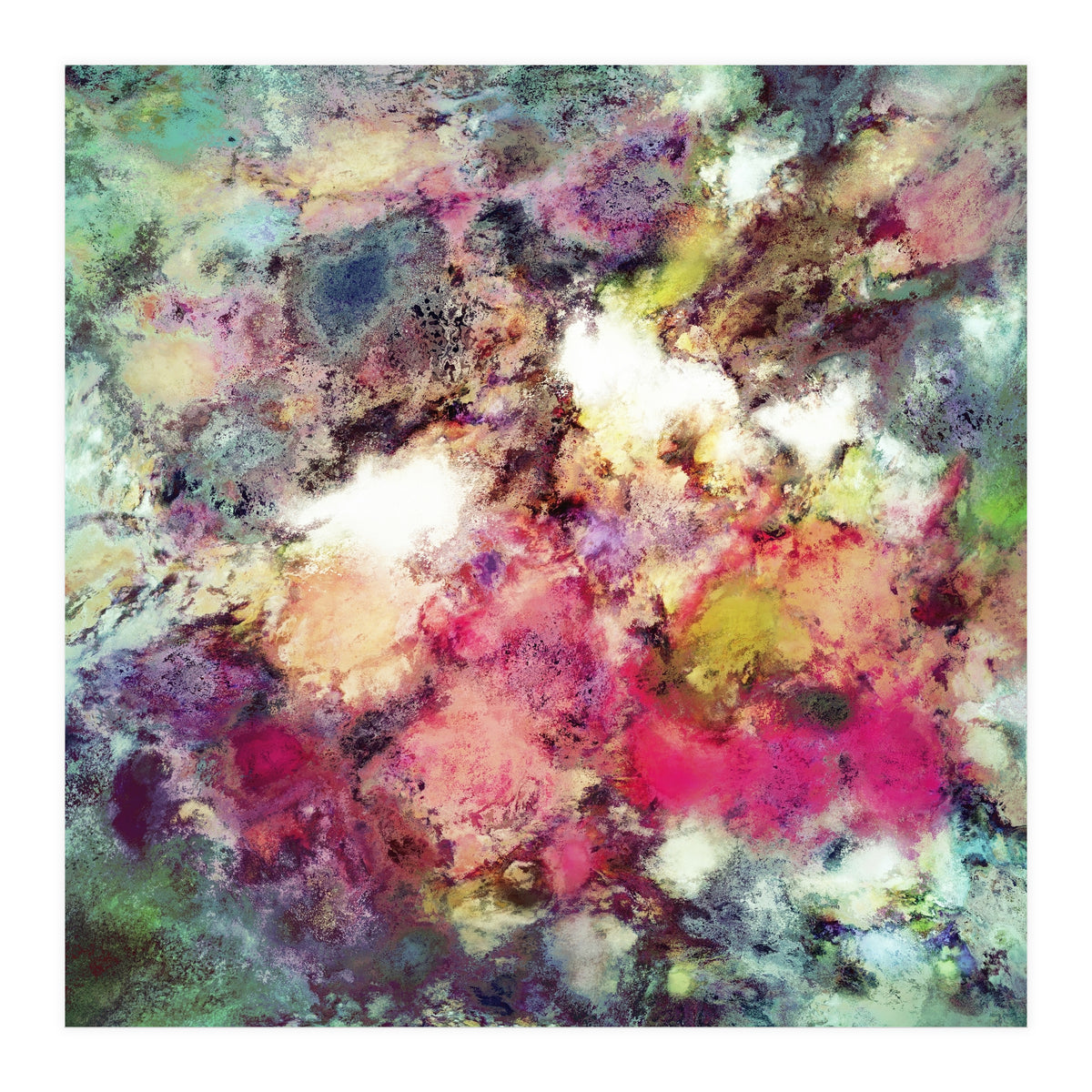 Raspberry Rocks (Print Only)