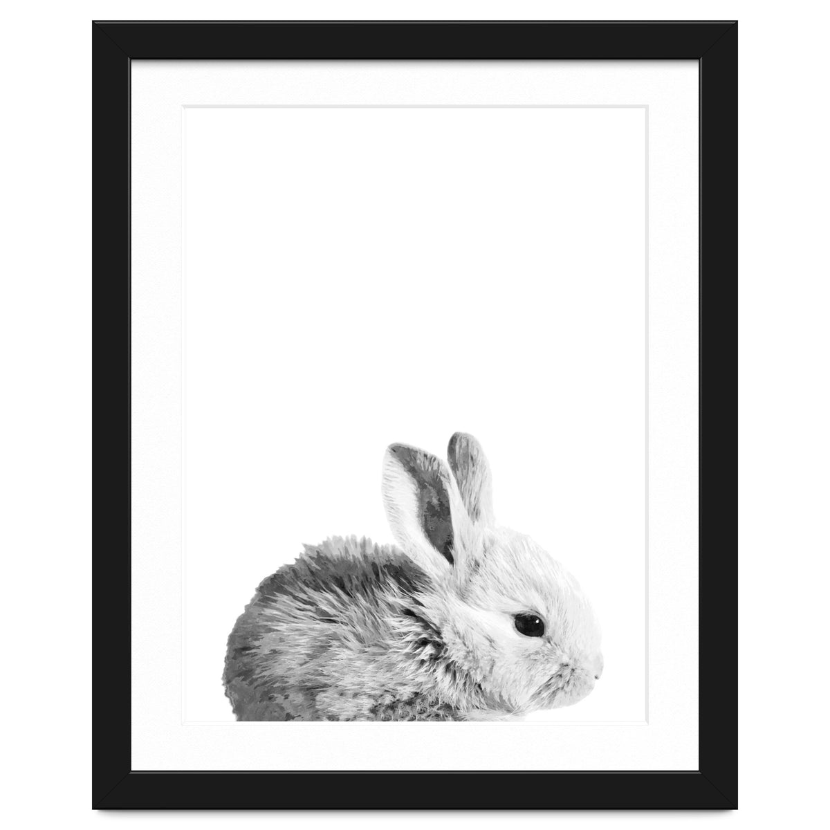 Black and White Bunny Portrait