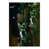 Disappeared Dreams 5 (Print Only) thumbnail