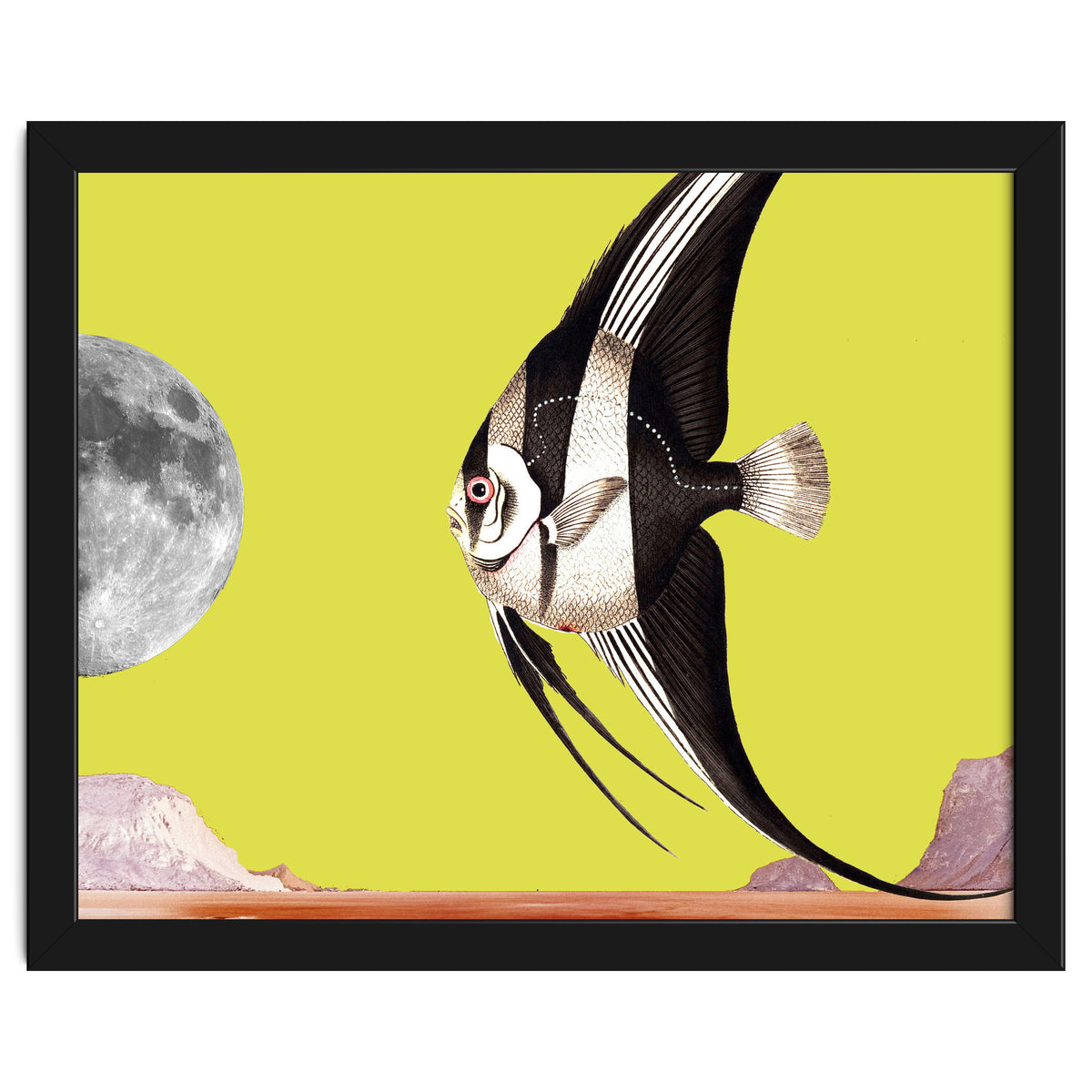 Plenty of fish in the sea yellow