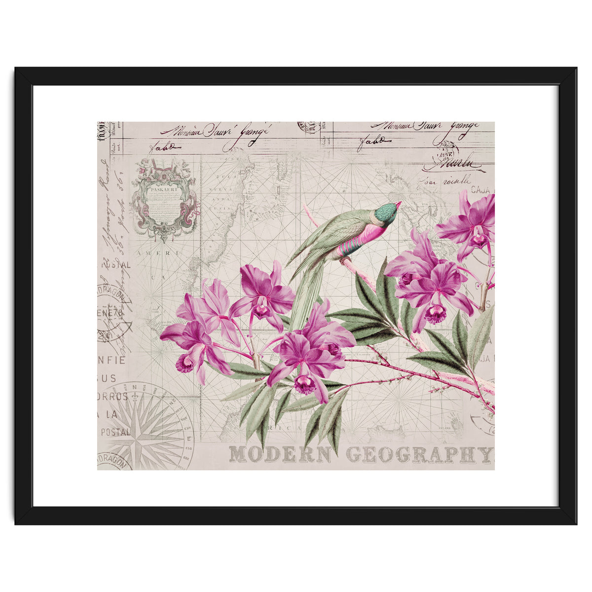 The Birds Voyage Of Discovery