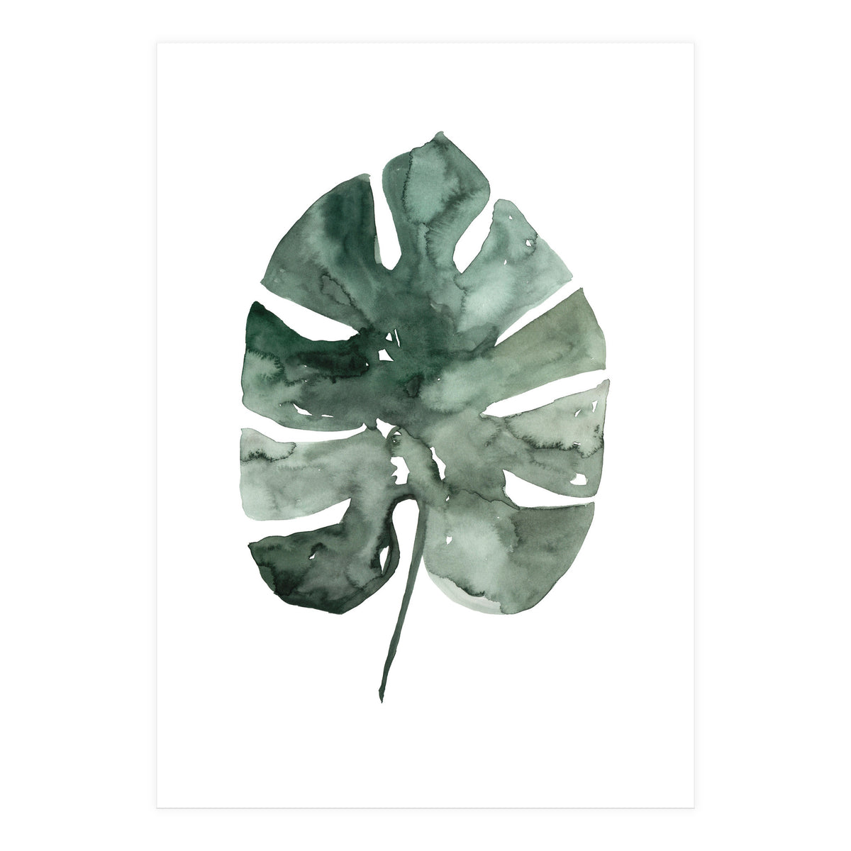 Botanical Illustration Monstera Leaf (Print Only)