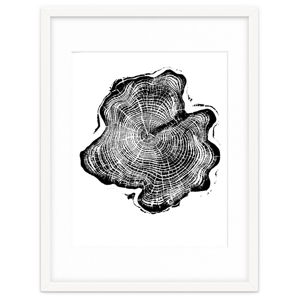 Alaskan Cypress, Tree Ring Art Print, Woodblock