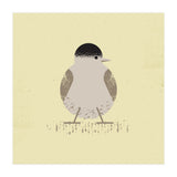 Blackcap 2 (Print Only) thumbnail