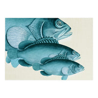 Fish Classic Designs 4 (Print Only)