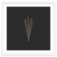 Delicate Fynbos Botanicals in Gold and Black - Square