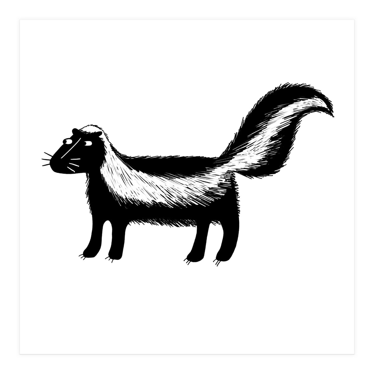 Skunk (Print Only)