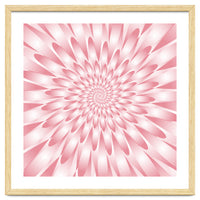 Spiral Pink Flower