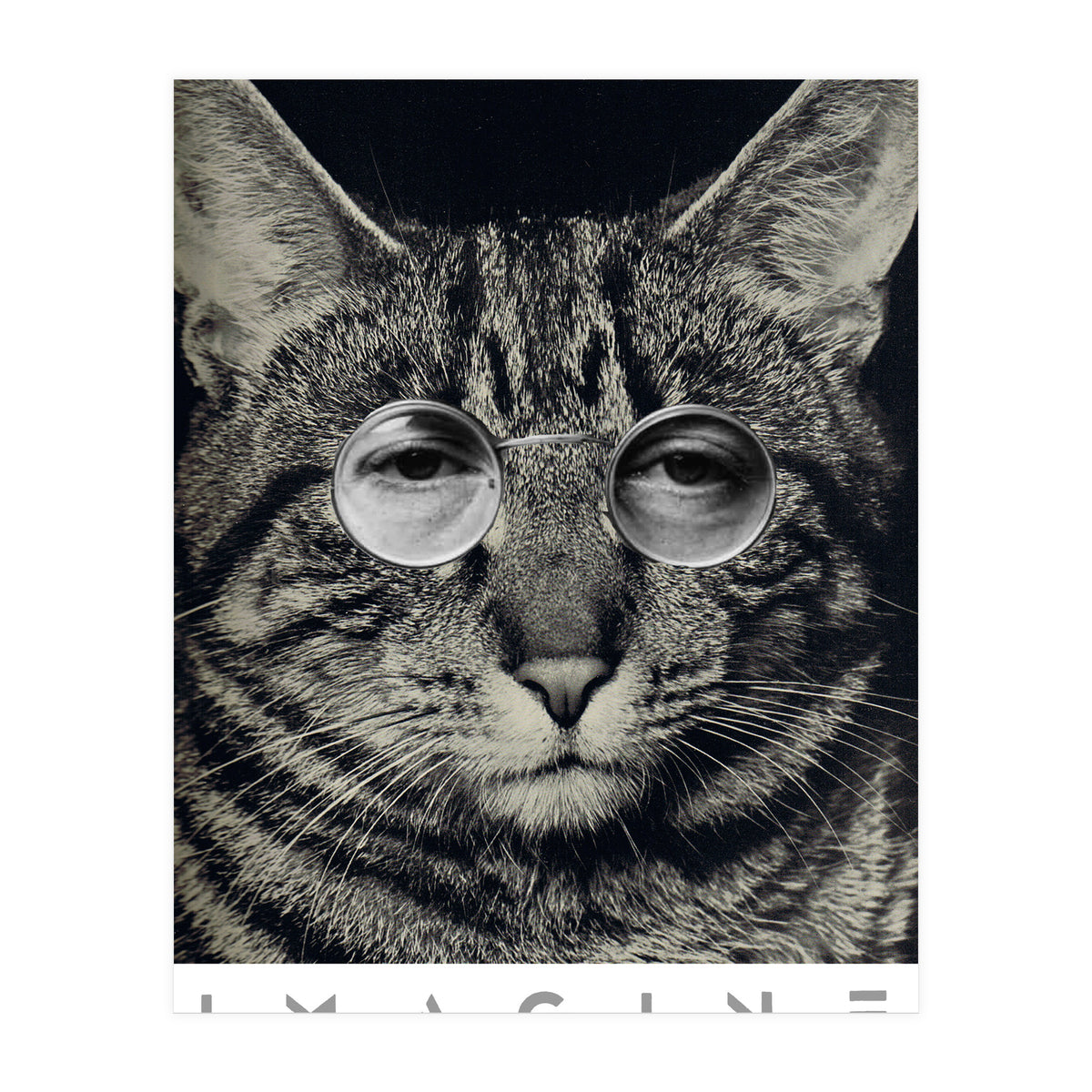 Imagine (Print Only)