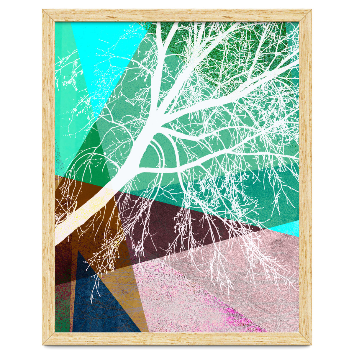 P16-H Trees And Triangles