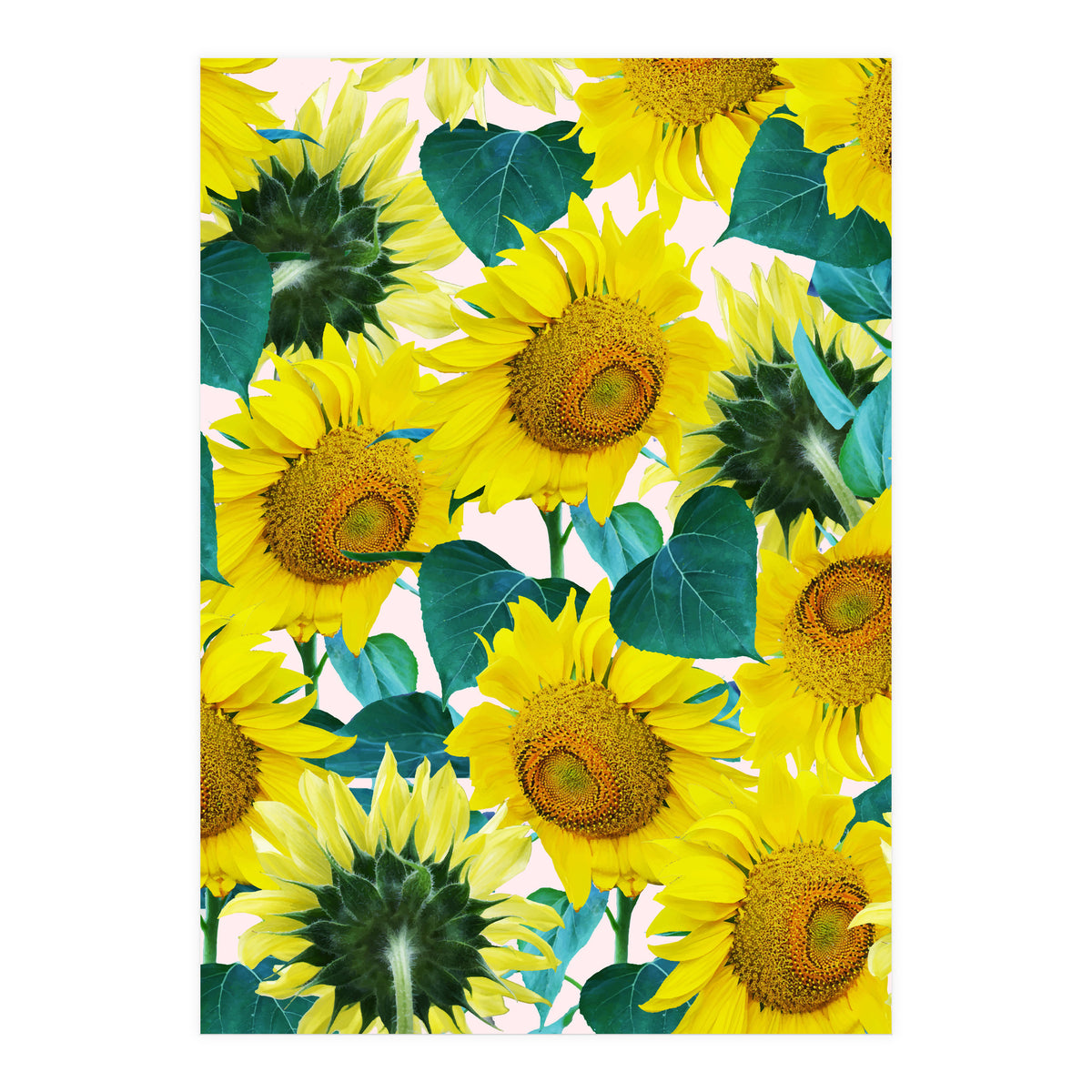 Sunflower (Print Only)