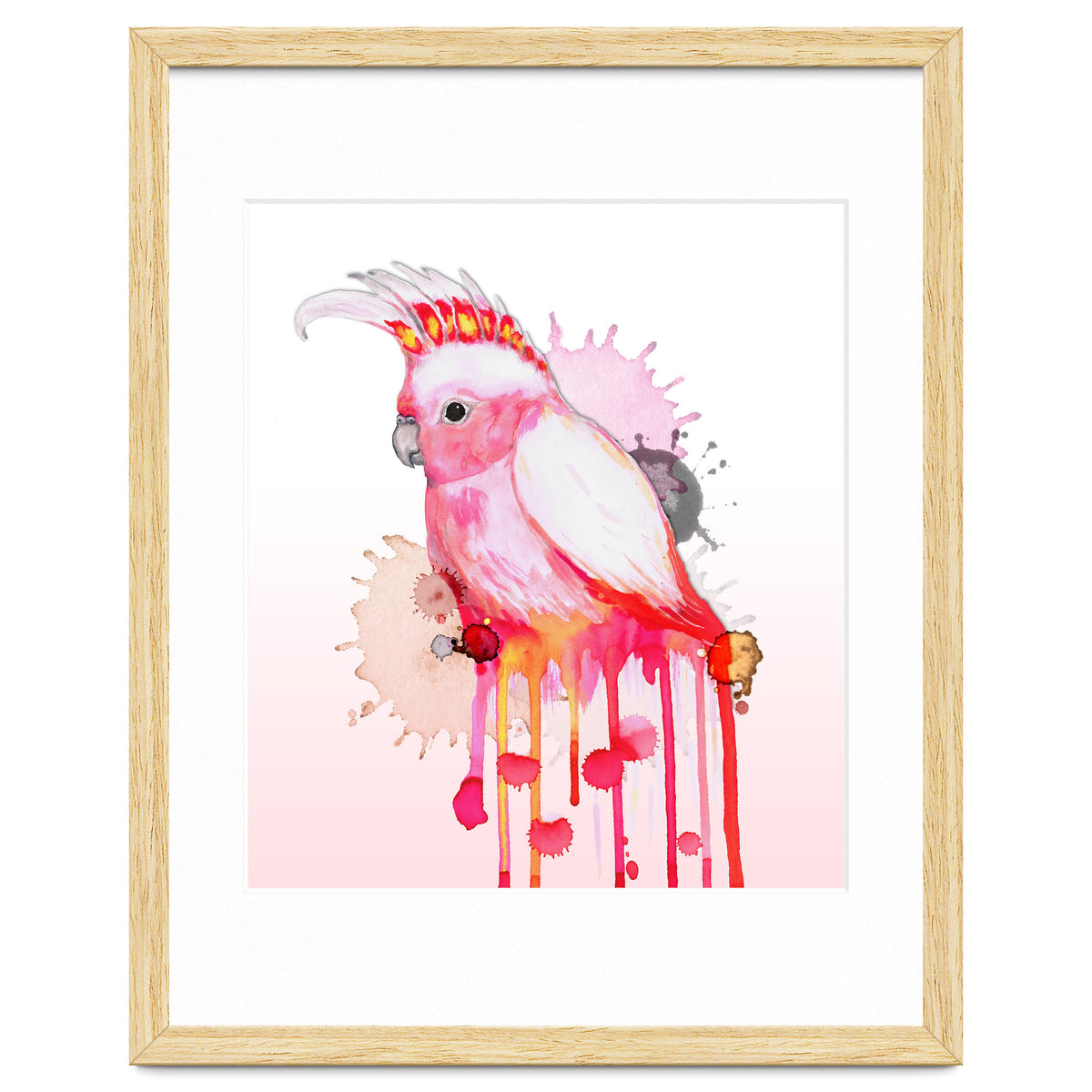 Major Mitchell's cockatoo