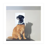 Domestic Animal (Print Only) thumbnail
